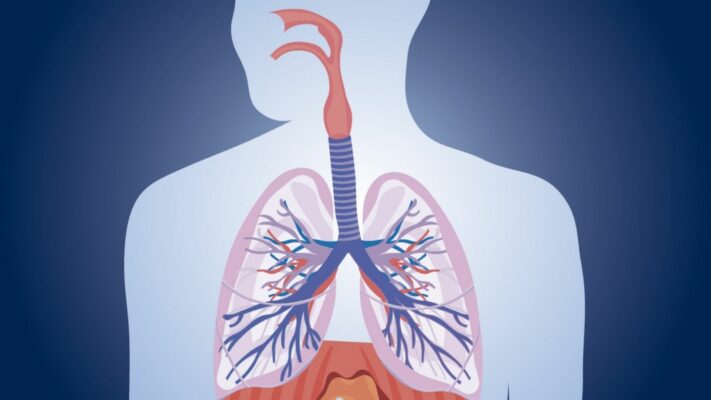 Endobronsiyal Ultrasonografi EBUS Nedir